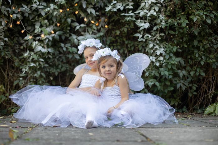 White Snow Fairy Sets
